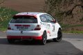Rallye Fraenkisches_Weinland_06.05.2017_WP4_048